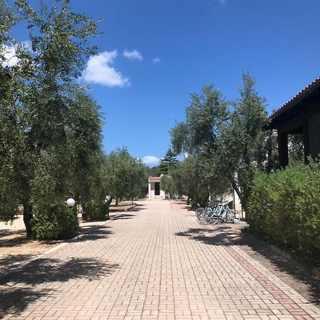 Tenuta Montincello Вьесте Экстерьер фото