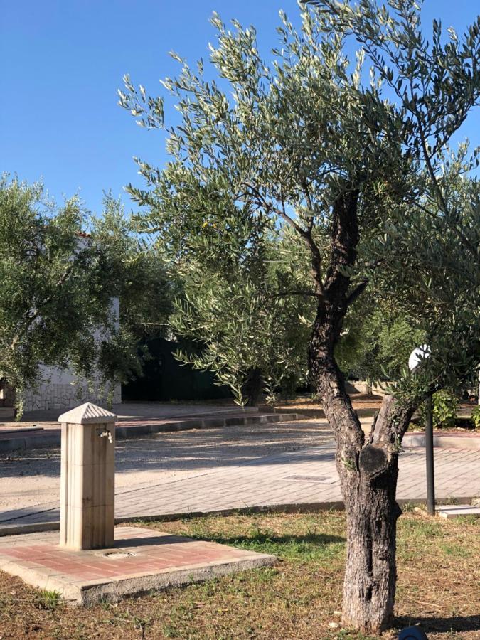Tenuta Montincello Вьесте Экстерьер фото